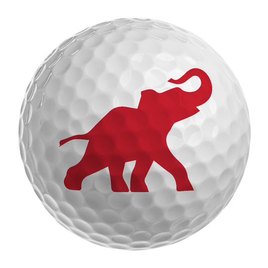 Delegation Golf Balls (set of 3)